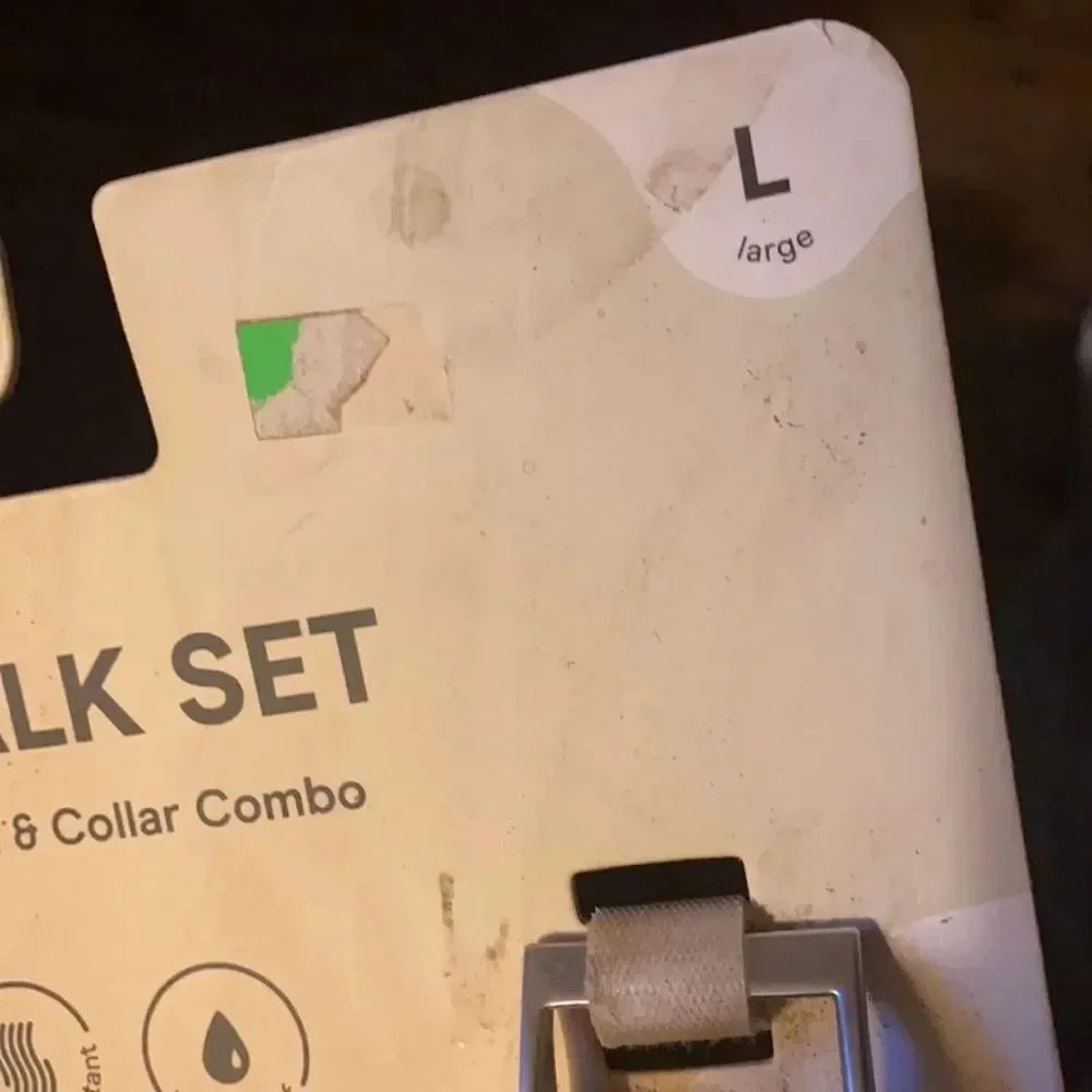 Dog walk set